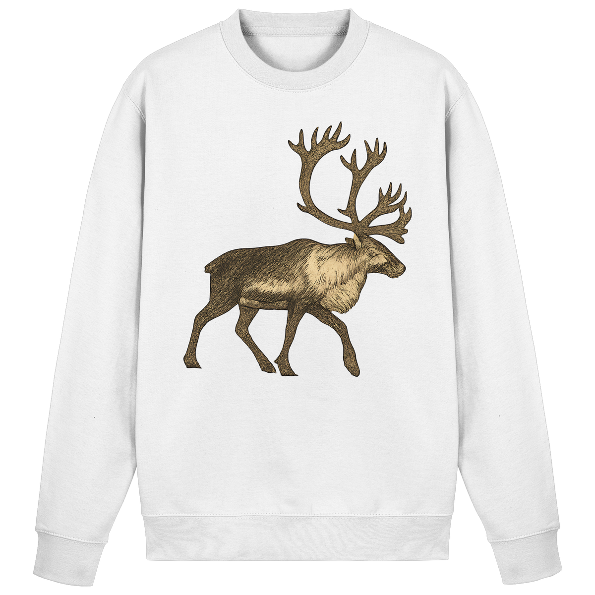 Arvenzo Tundra Walk sweatshirt in arctic white, front view showing a cozy, casual sweatshirt with a simple design and ribbed cuffs.