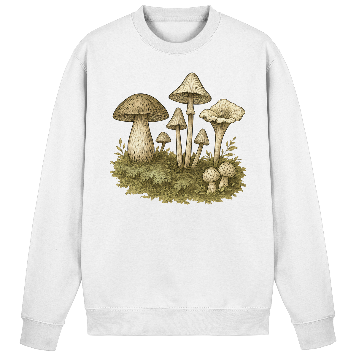 Arvenzo Forest Floor sweatshirt in Arctic White featuring a simple front design, soft cotton fabric, and comfortable fit.
