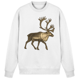 Arvenzo Tundra Walk sweatshirt in arctic white, front view showing a cozy, casual sweatshirt with a simple design and ribbed cuffs.